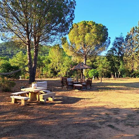 Villa Provencale Avec Piscine Au Calme Sainte-Maxime Exterior photo