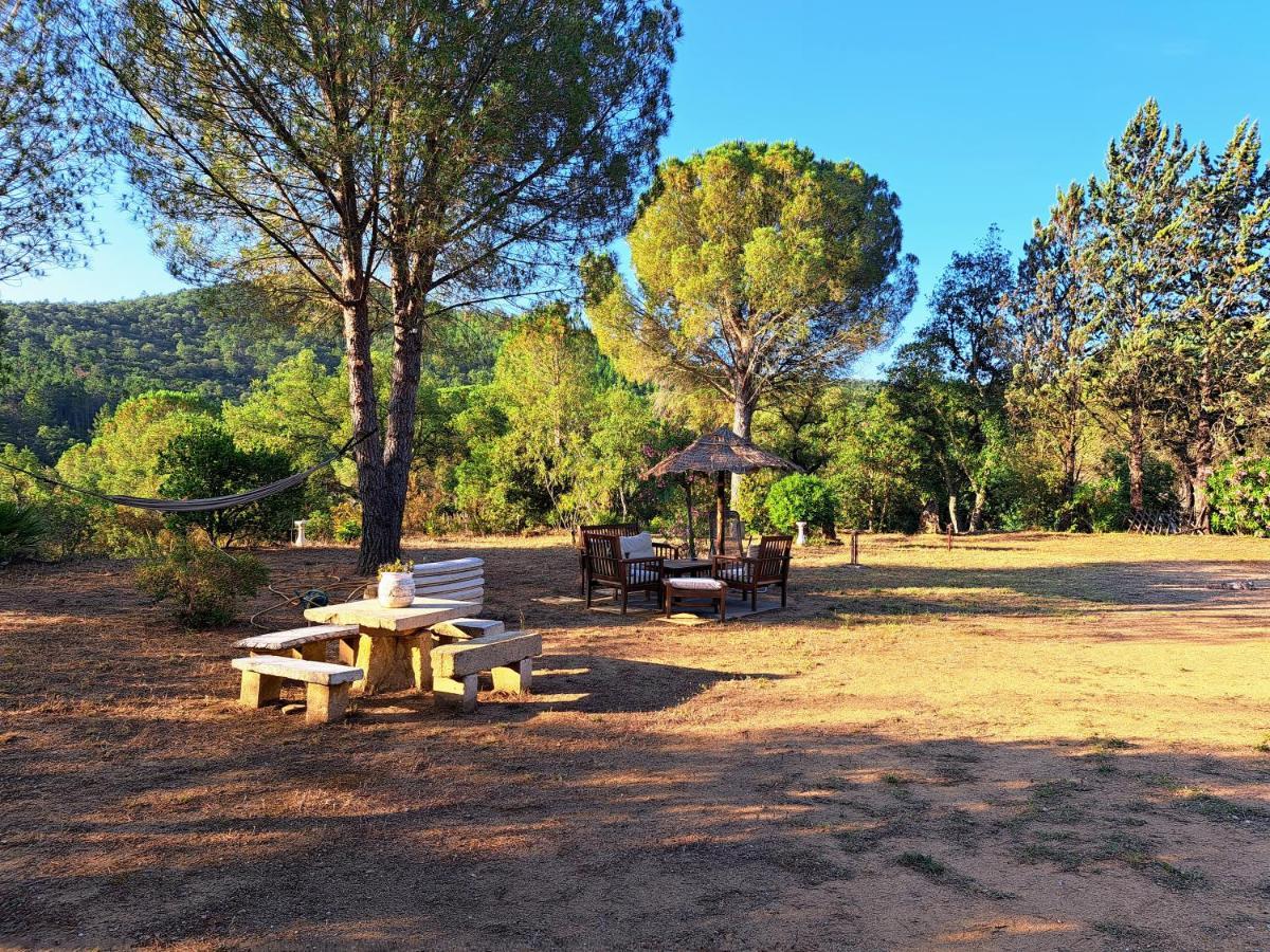 Villa Provencale Avec Piscine Au Calme Sainte-Maxime Exterior photo